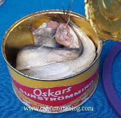 Qué es el Surströmming y por qué tiene mal olor