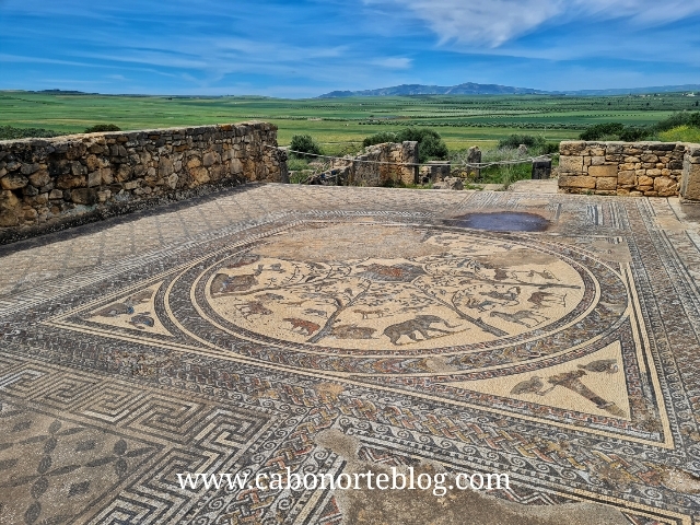Mosaico en Volubilis