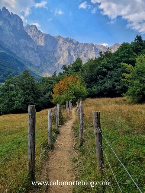 Picos de Europa